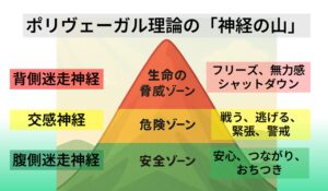ポリヴェーガル理論で理解する回復の力の記事のアイキャッチ画像